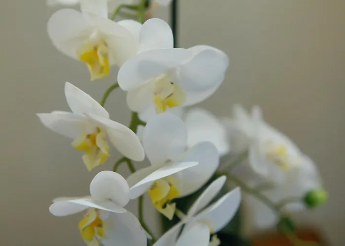 Διαμέρισμα Mh 805 *